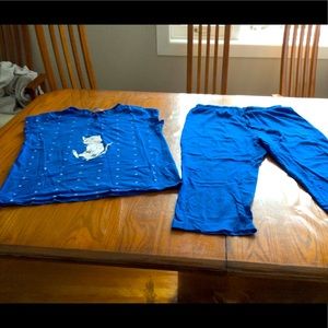 Cute short sleeved and capris teal pajamas with a cat on the shirt